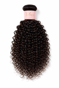 Burmese Curly ♥︎