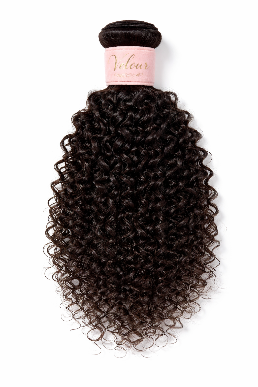Burmese Curly ♥︎