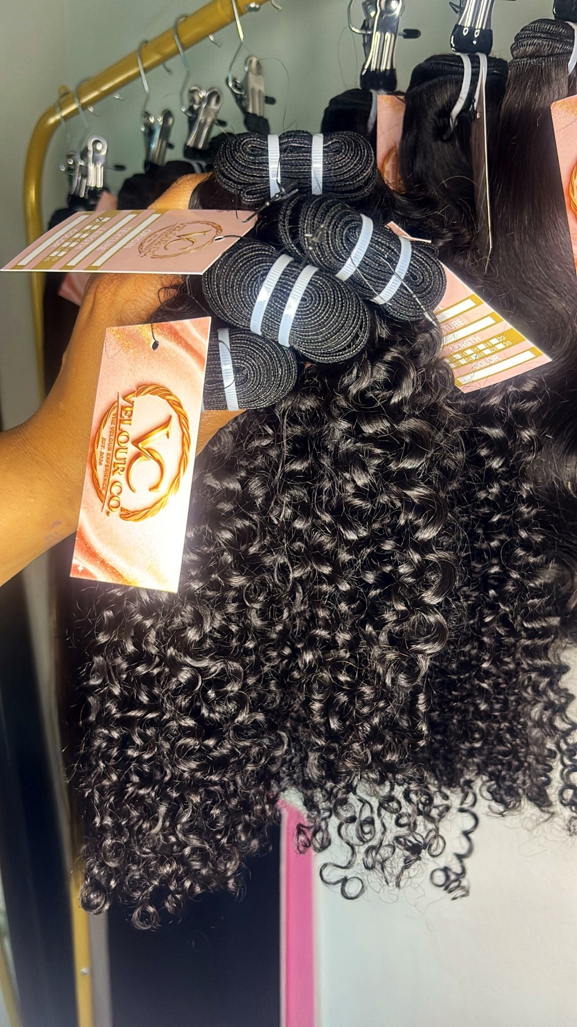 Burmese Curly ♥︎