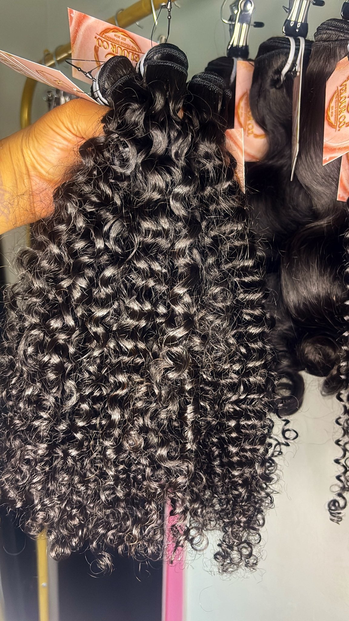 Burmese Curly ♥︎