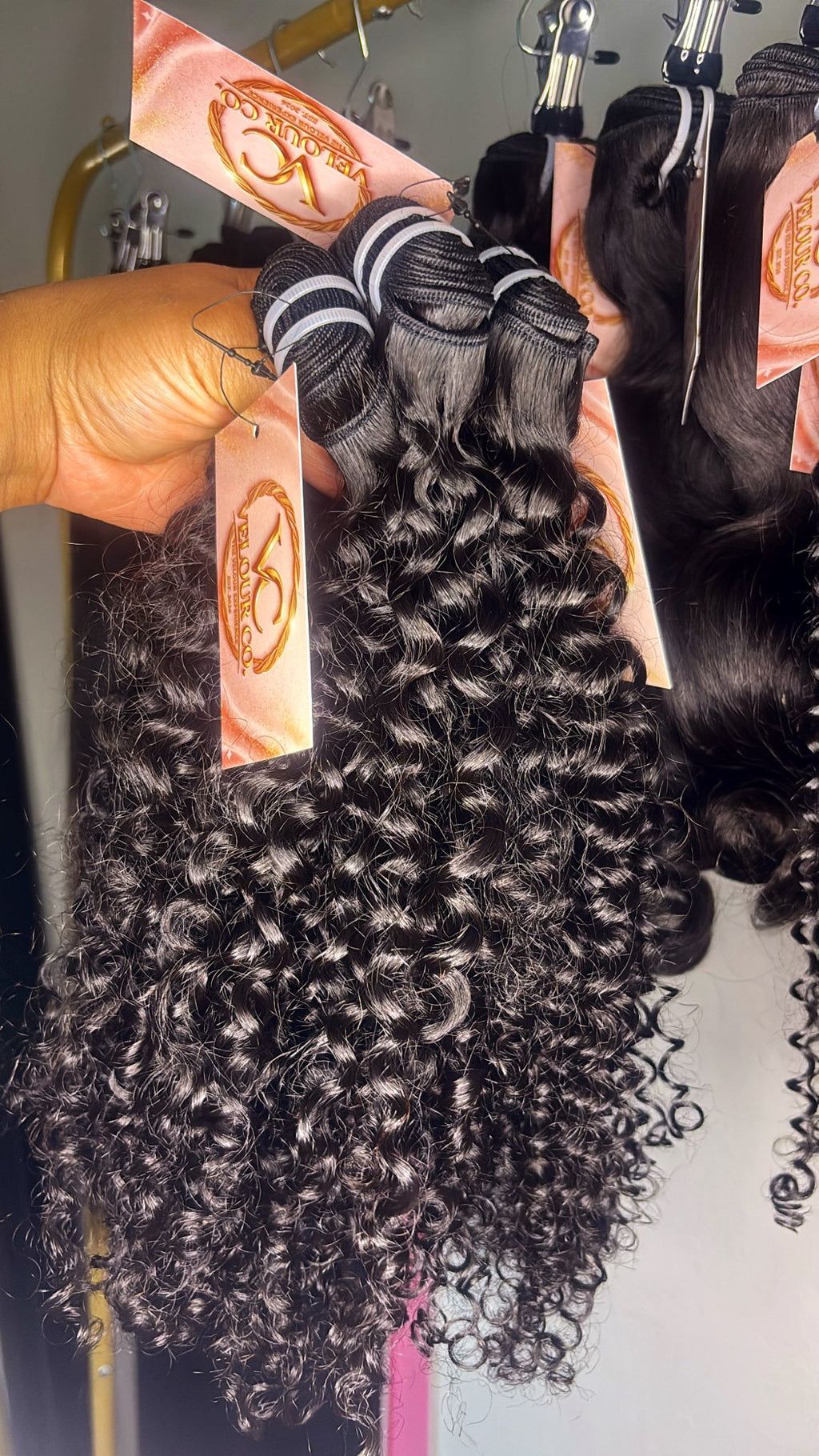 Burmese Curly ♥︎