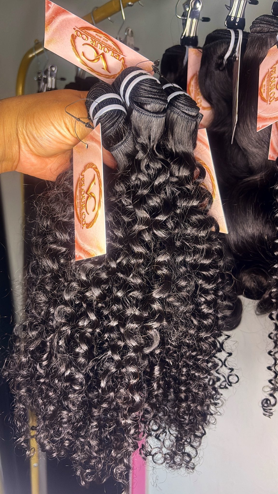 Burmese Curly ♥︎